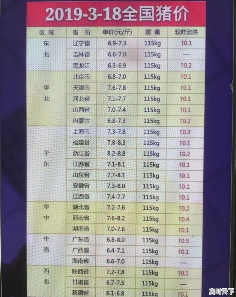 东北生猪肉今日价格行情走势 - 真时天下