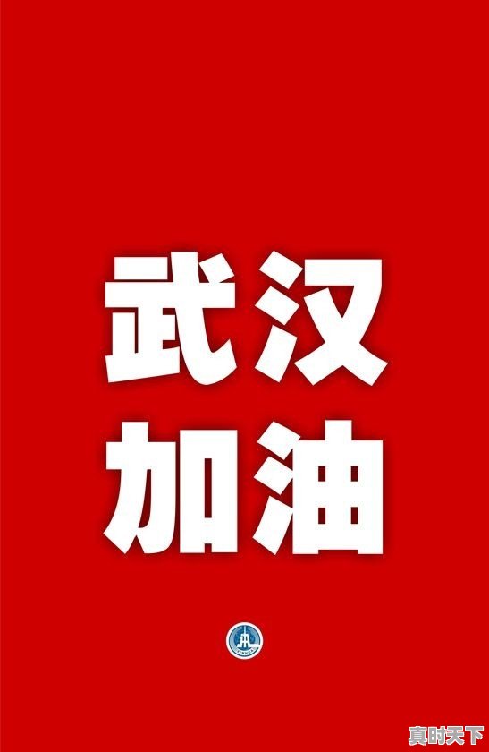 看上两辆欧宝车,威达3.2v6前驱,欧美佳2.2后驱 ,都是04年的,帮忙看看觉得哪个好 - 真时天下