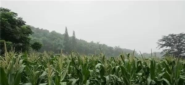 古田智能科技有限公司 - 真时天下