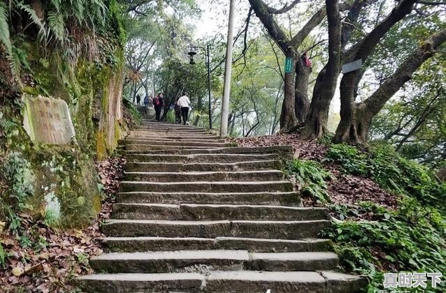 大足区电台103.30 - 真时天下