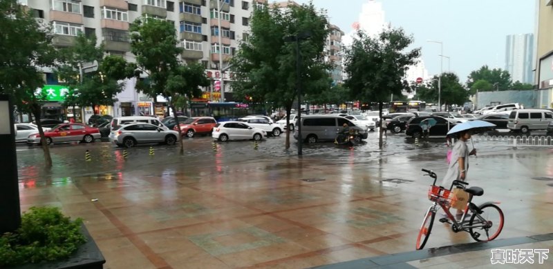 沈阳今年有什么大动作 - 真时天下