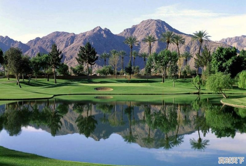 ai科技啥意思 - 真时天下