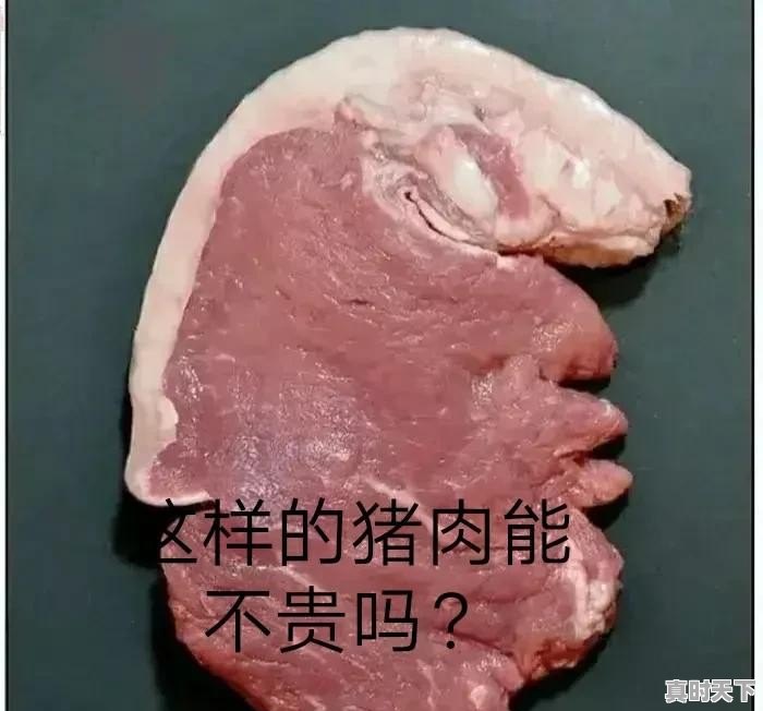 猪肉价格，涨涨涨！生猪期货，跌跌跌！为什么？预示着什么 - 真时天下