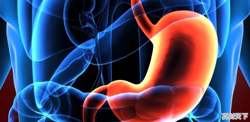 天气一冷胃就不舒服怎么回事 - 真时天下