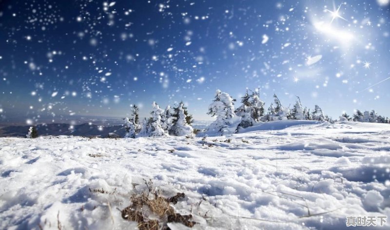 驻马店一星期天气预报七天 - 真时天下