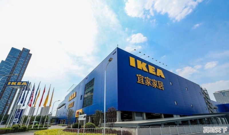 综艺玩很大2015综艺在线观看 - 真时天下