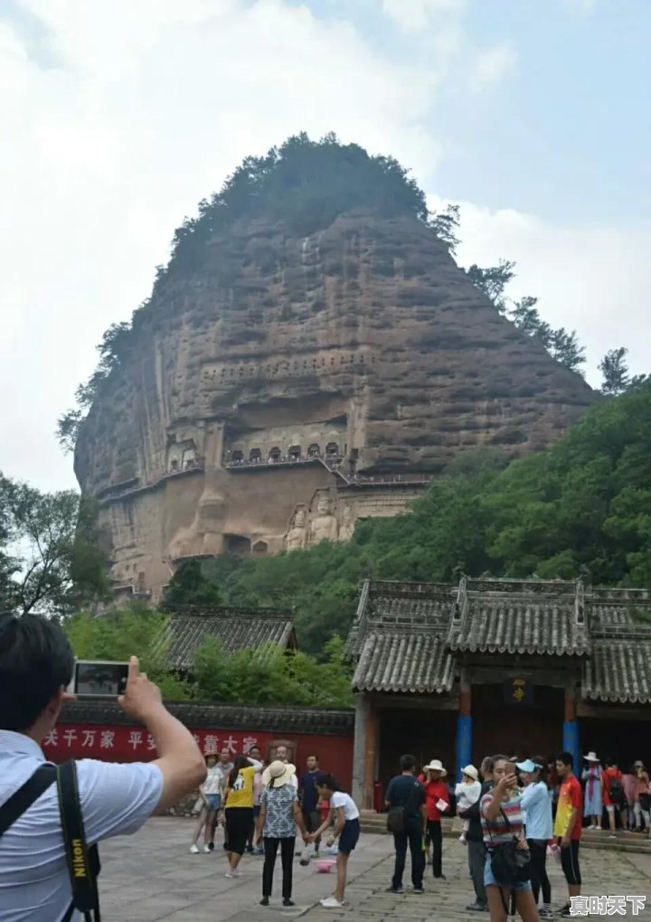 甘肃现在鸡蛋价格，玉米价格如何 - 真时天下