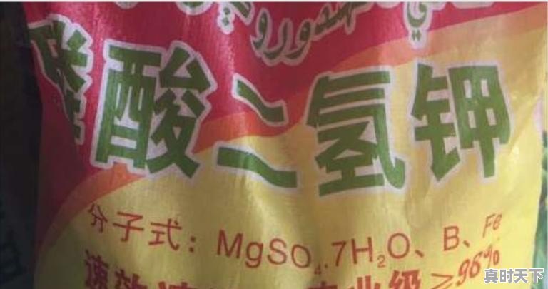 磷酸二氢钾能不能撒施 - 真时天下