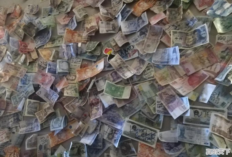 金融行业入门知识点有哪些内容 - 真时天下