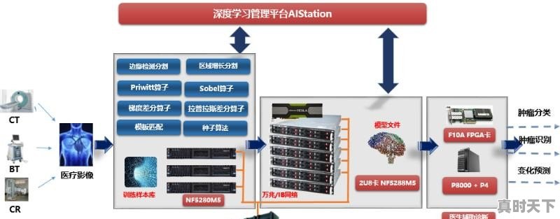 如果可以众筹自制一款游戏，你最想玩的游戏是什么 - 真时天下