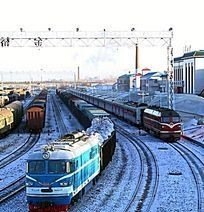 新疆伊犁地区3月份玉米价格会涨吗 - 真时天下