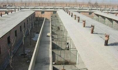 科技苑狗 - 真时天下