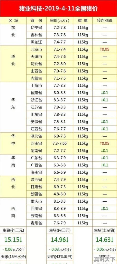 今日猪肉价格4月11日是多少 - 真时天下