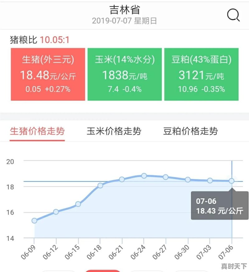 玉林的朋友，现在莪术干片的价格如何 - 真时天下