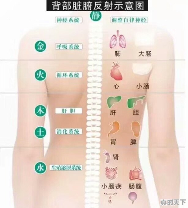 一到冬天后背就容易痒是怎么回事？应该怎么办 - 真时天下