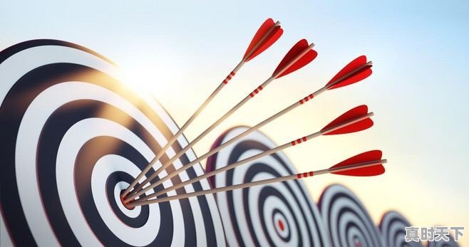 金融岗位有哪些工作内容 - 真时天下