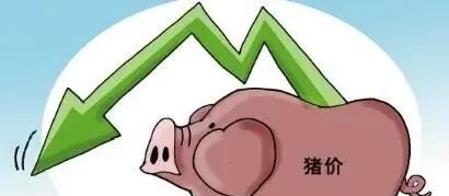 2023广西猪肉下半年会不会涨价 - 真时天下