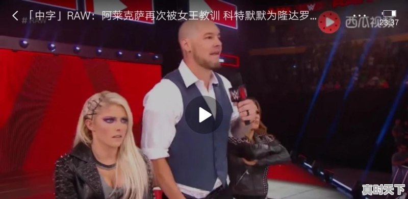 WWE这种男性荷尔蒙爆棚的节目为何在中国不受欢迎 - 真时天下